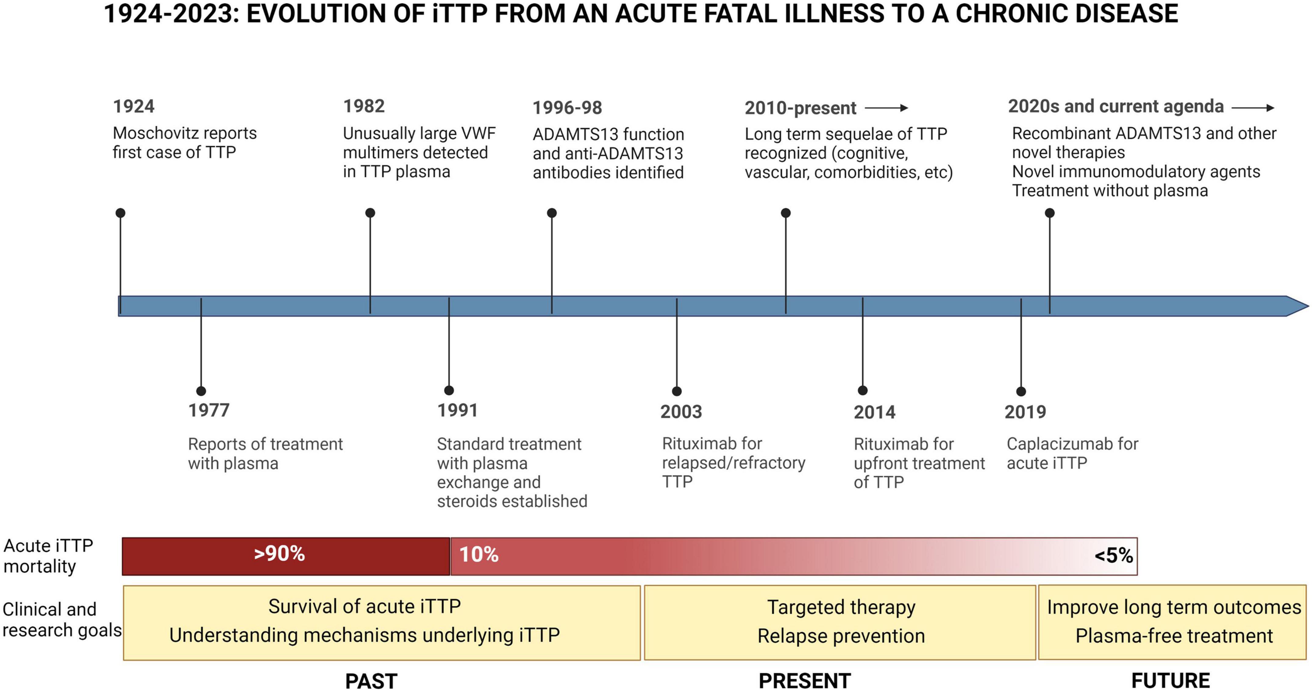 Immune thrombotic thrombocytopenic purpura: Spotlight on long-term outcomes and survivorship